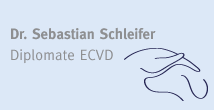 Dr. Sebastian Schleifer, Diplomate ECVD